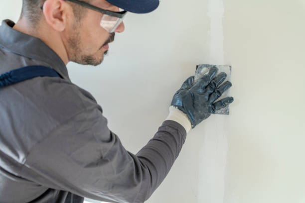  Plymouth, PA Mold Removal Pros