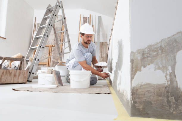 Best Mold Damage Restoration  in Plymouth, PA