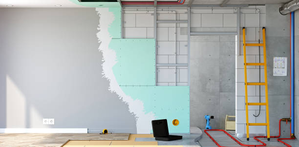 Best Post-Construction Mold Inspection  in Plymouth, PA