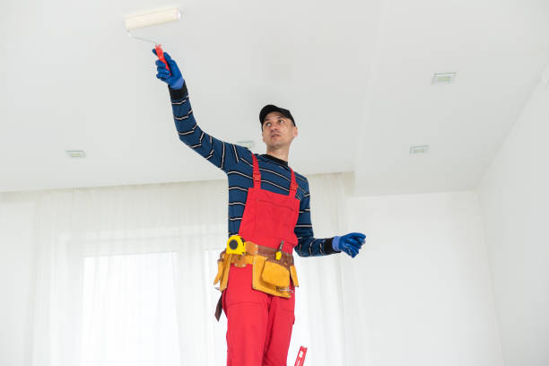 Best Crawl Space Mold Remediation  in Plymouth, PA