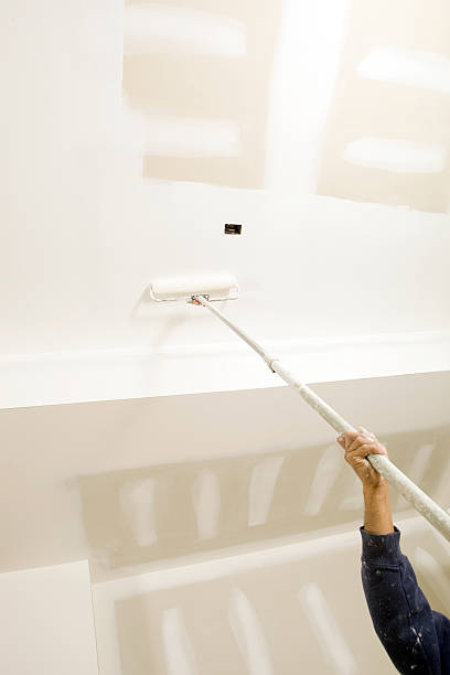 Mold Odor Removal Services in Plymouth, PA