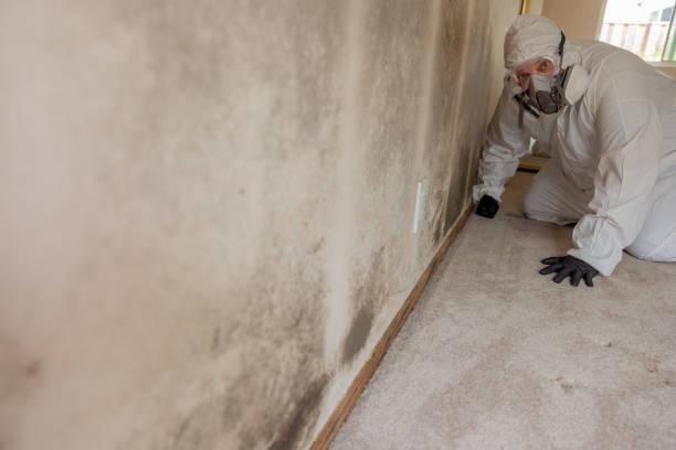 Best Residential Mold Inspection & Testing  in Plymouth, PA