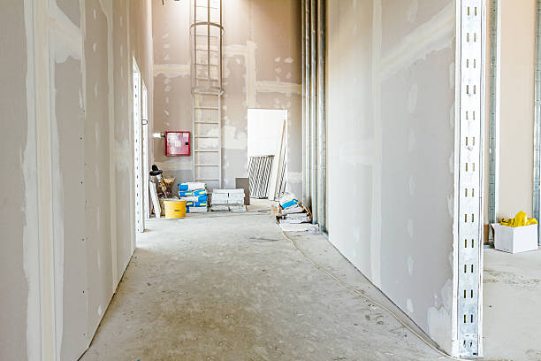 Professional Mold Removal in Plymouth, PA